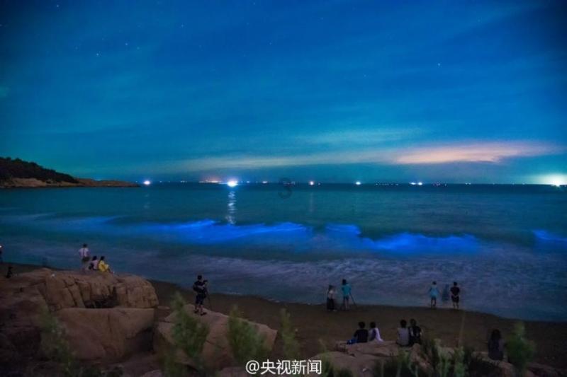 三小只僵尸的游戏时间6