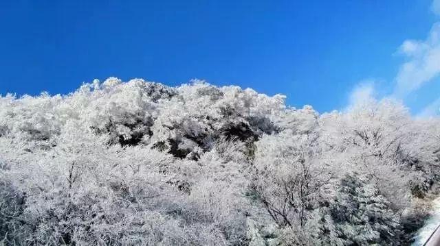 《当幸福来敲门》父亲的爱平凡普通却伟大