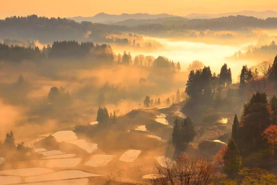 篮球大师
